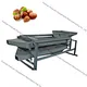 Almond Screening machine